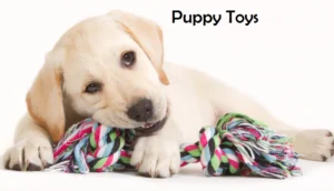 Lab Puppy Toys